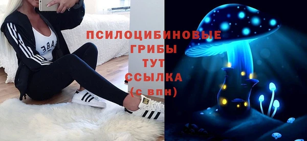 СК Белокуриха