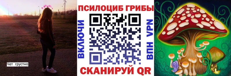 где продают Чишмы Псилоцибиновые грибы Psilocybe